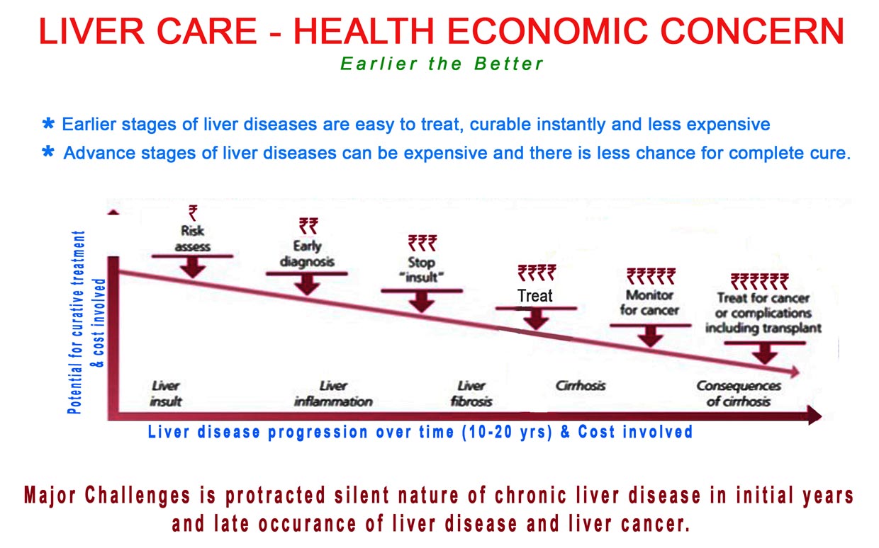 Liver-Care-diagram