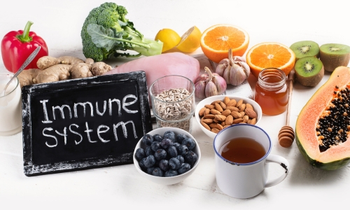 Gut Health Secrets for a Stronger Immune System