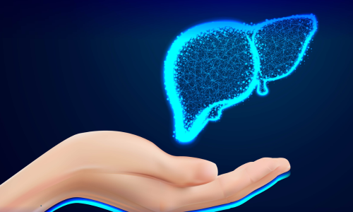 Can Liver Regenerate Itself? Facts Every Patient Should Know